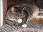 fuk you